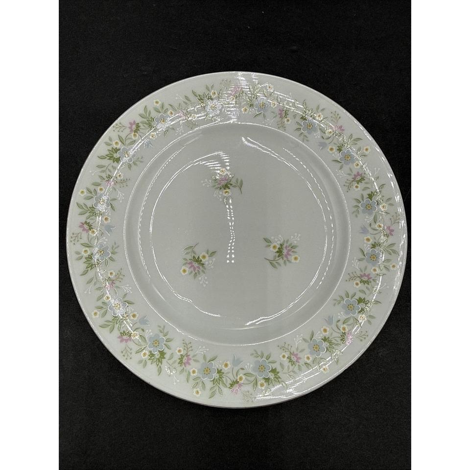 Vtg Johann Haviland Forever Spring A876 4