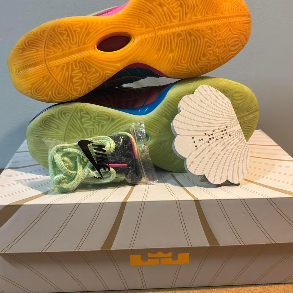 Multi Coloured Nike Lebron 17 Trainers 3