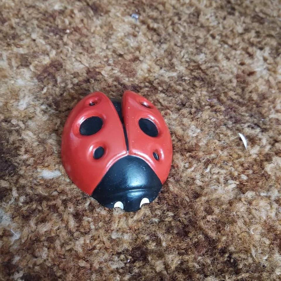Red And Black Ladybugs Set