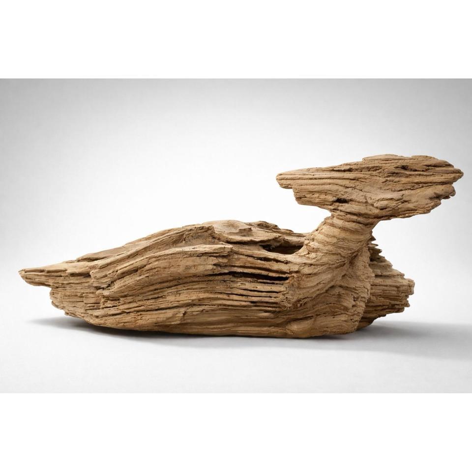 Abstract Art Natural Driftwood Sculpture 7a8a 2