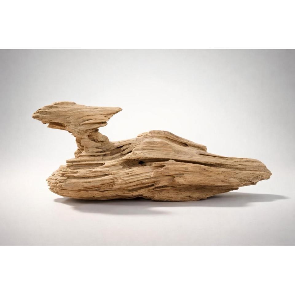 Abstract Art Natural Driftwood Sculpture 7a8a
