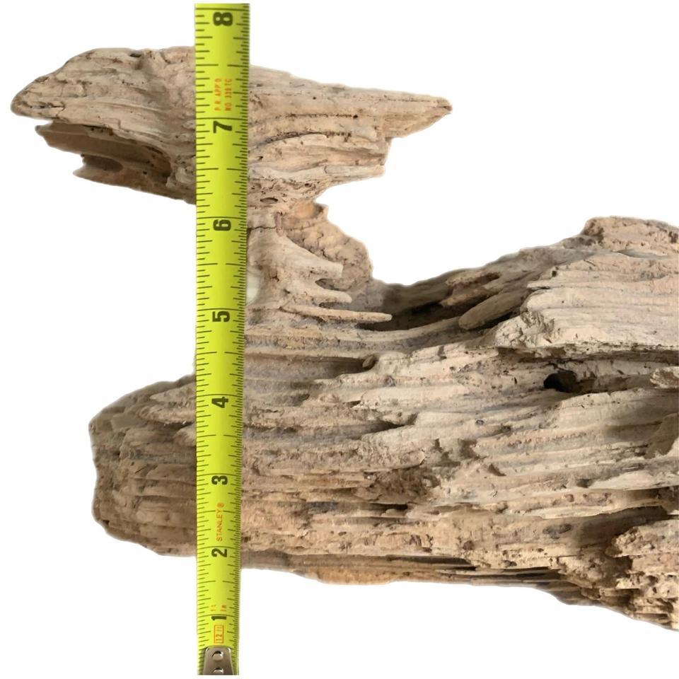 Abstract Art Natural Driftwood Sculpture 7a8a 3
