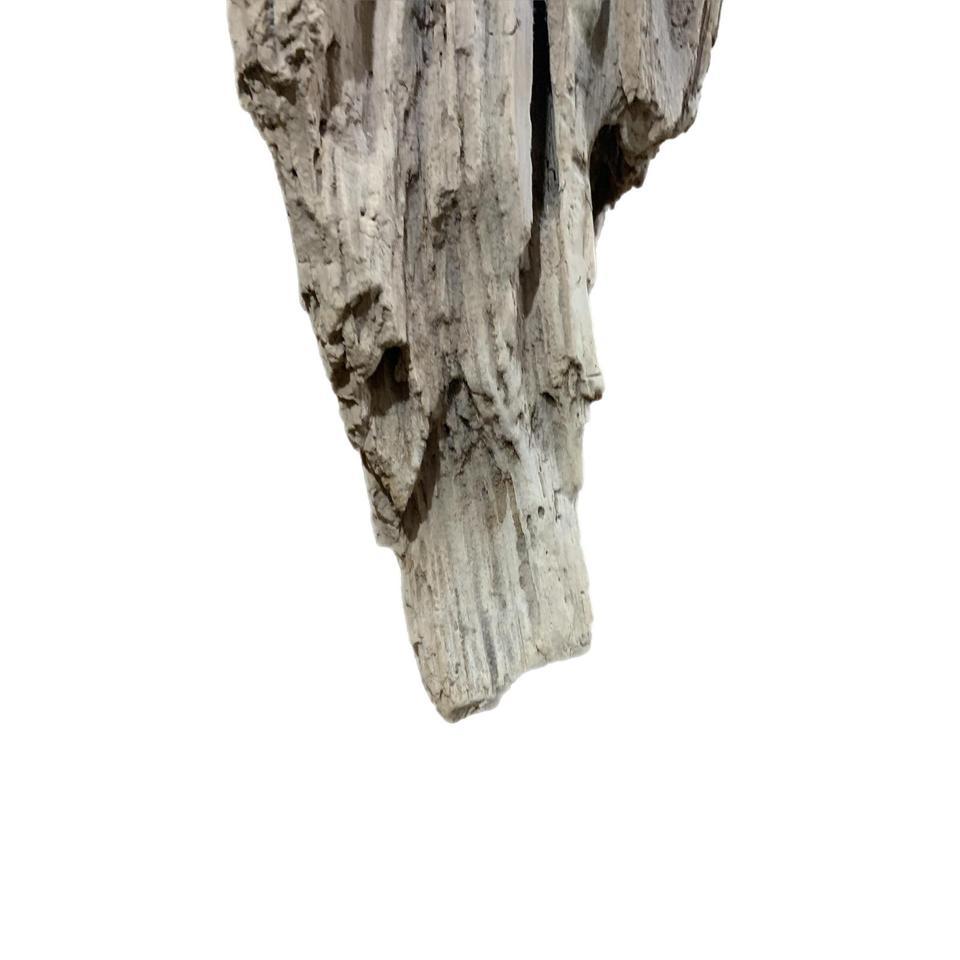 Abstract Art Natural Driftwood Sculpture 7a8a 5