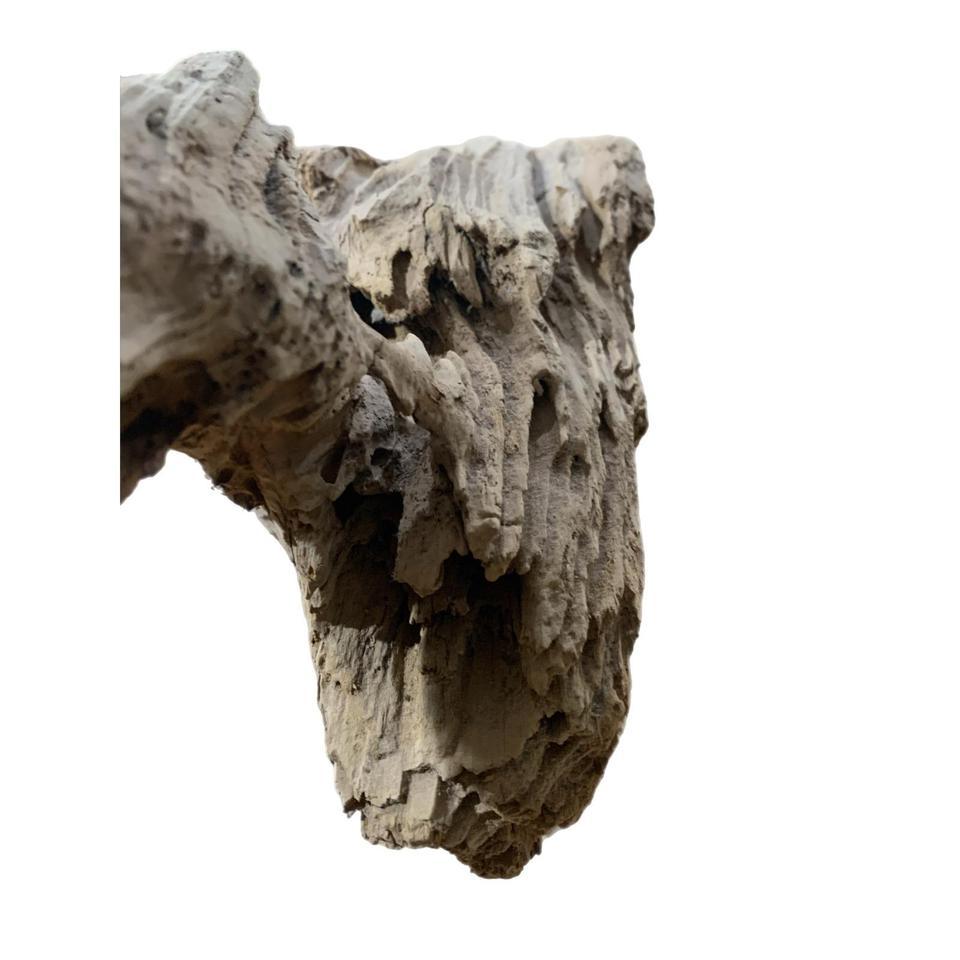Abstract Art Natural Driftwood Sculpture 7a8a 6