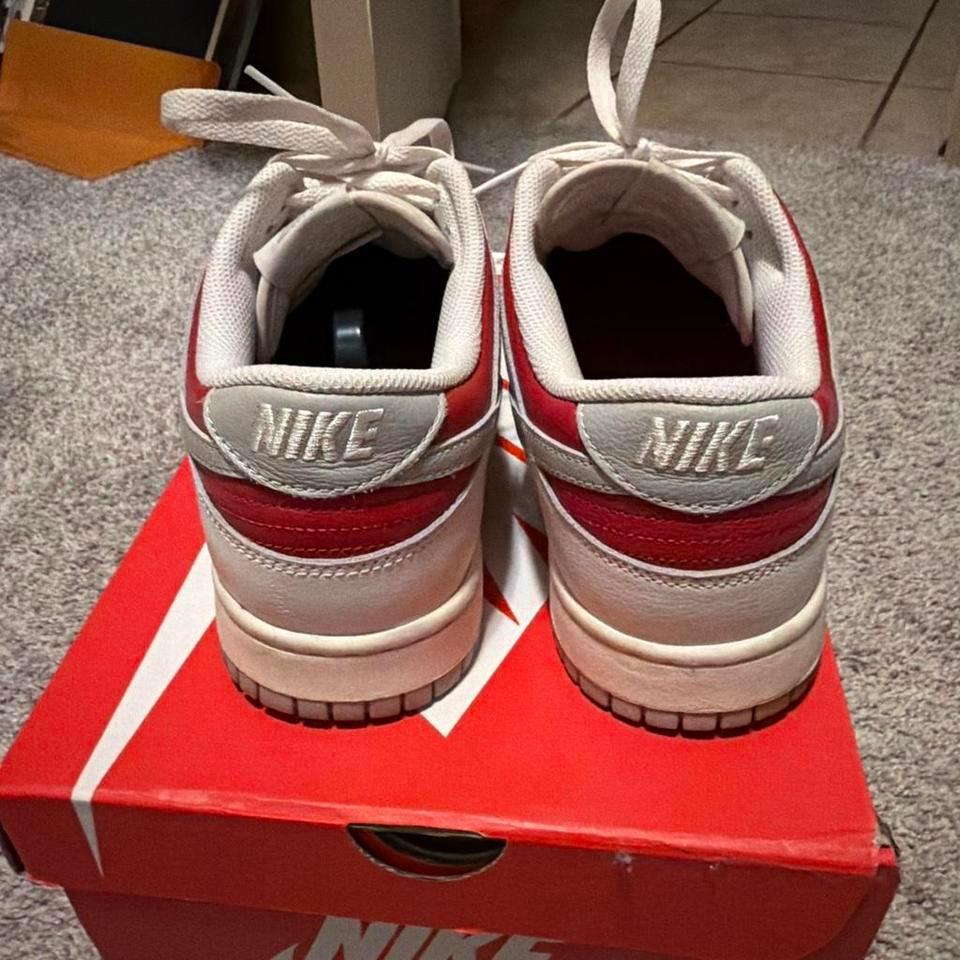 Nike Dunk Low Retro Light 7bc0 4