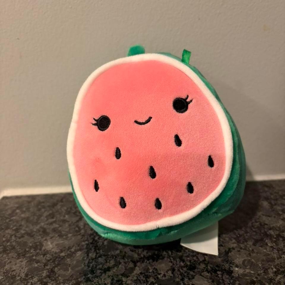 Small Squishmallow Watermelon Plush Toy B0c8