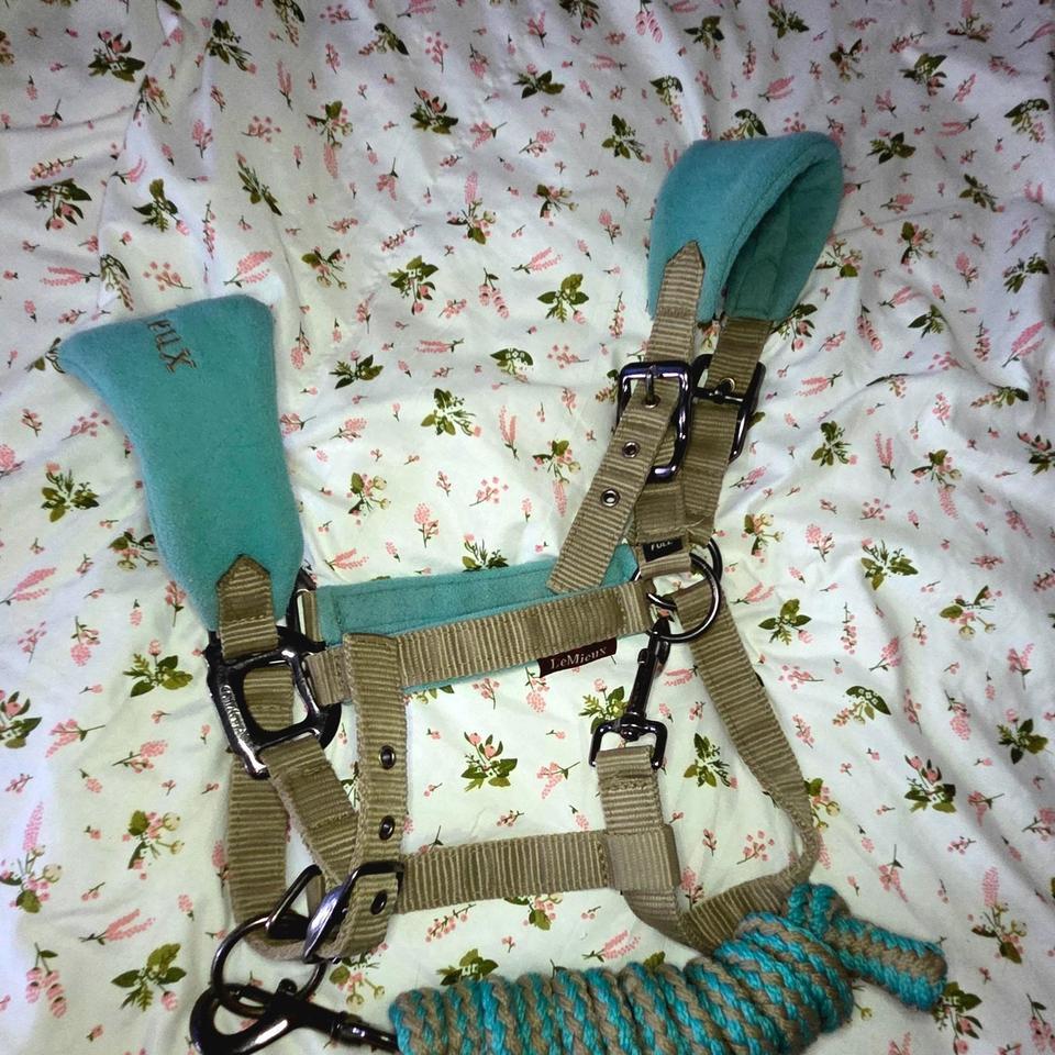 Tan And Teal Halter With Cdc4