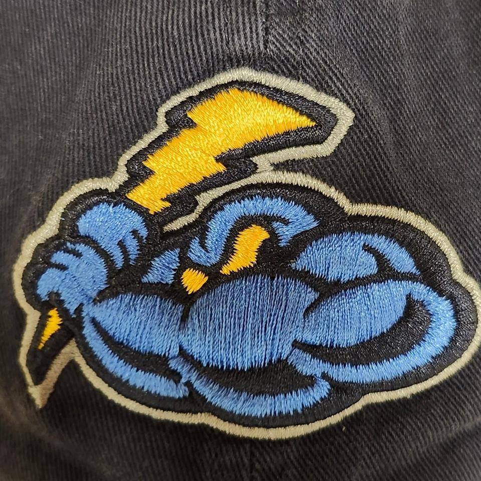 Trenton Thunder 2015 Milb 47 2