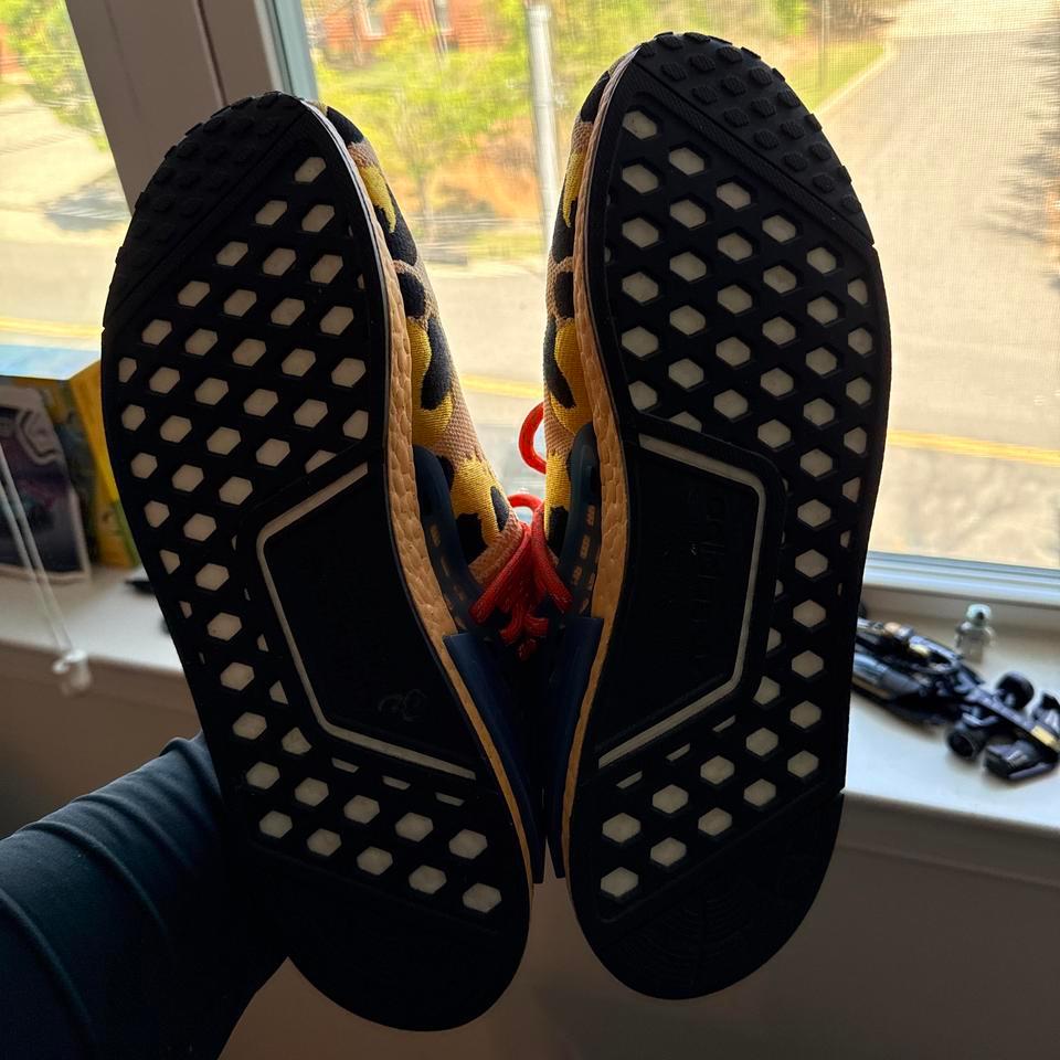 Adidas Pharrell Williams Multicoloured Trainers C301 6