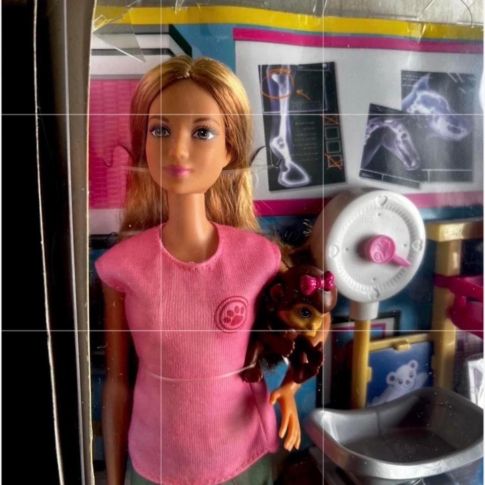 Barbie Zoo Doctor Doll Playset 4994 4