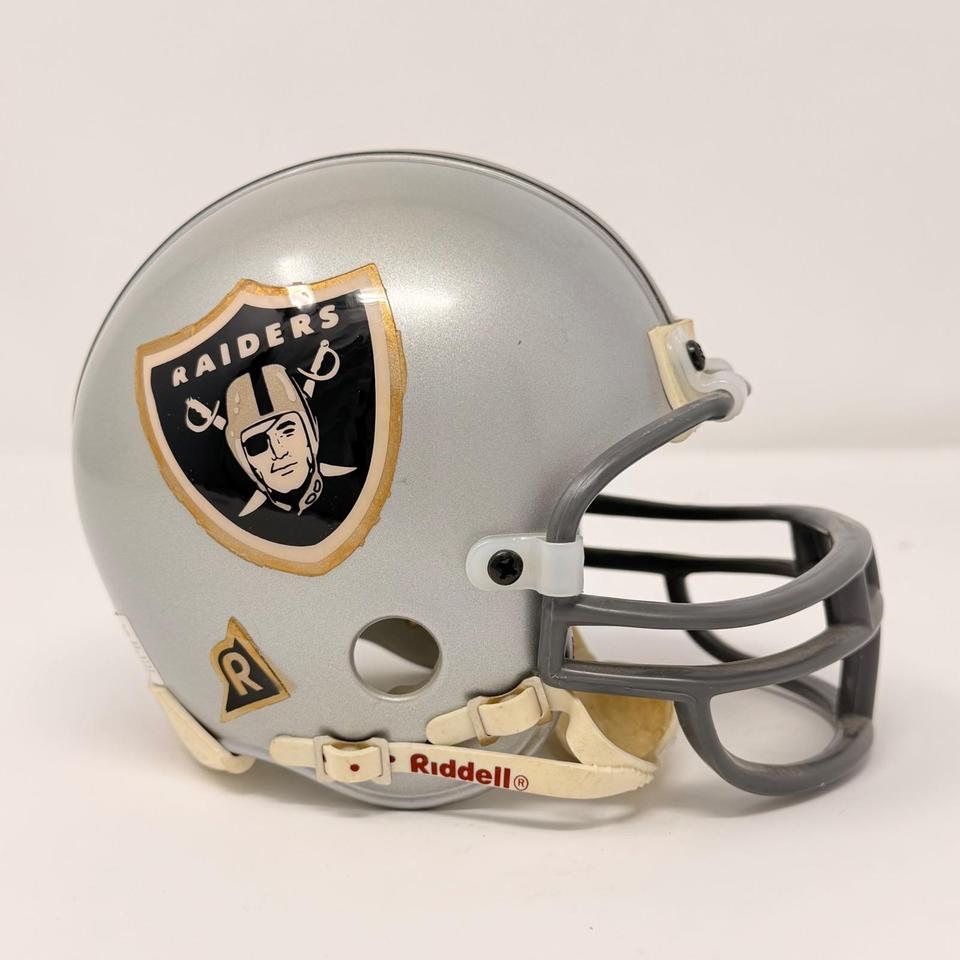 Vtg Riddell Raiders Mini Football 7773