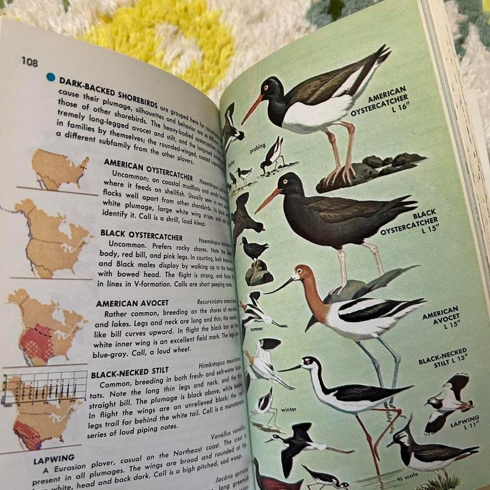 Birds Of North America 2d82 4