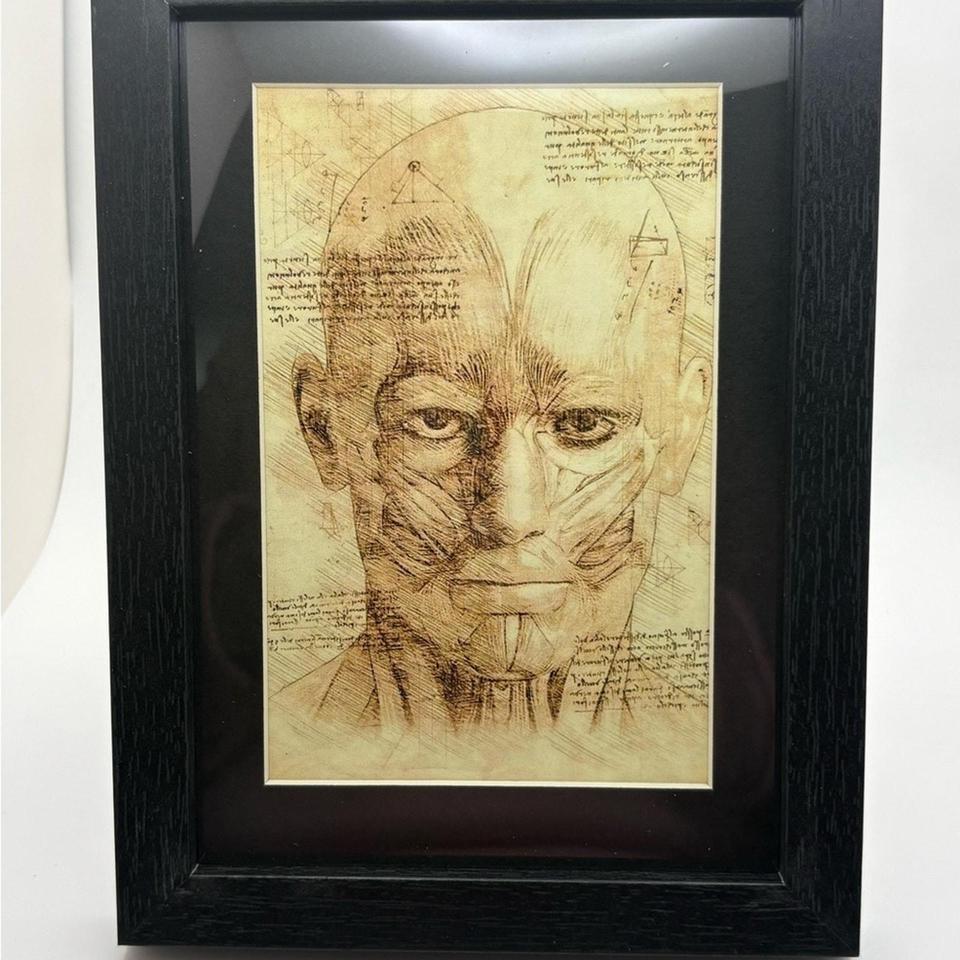 Striking Vintage Style Anatomical Art Print A56b