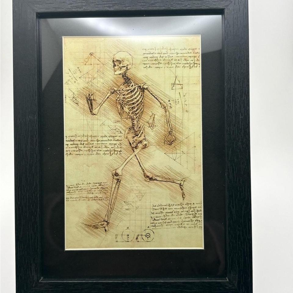 Unique Vintage Style Anatomical Art Print 7e4c