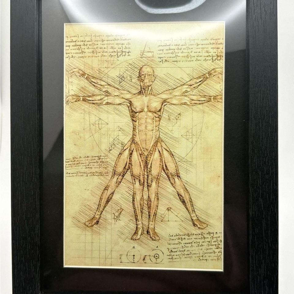 Classic Vintage Inspired Anatomical Art Print D50e