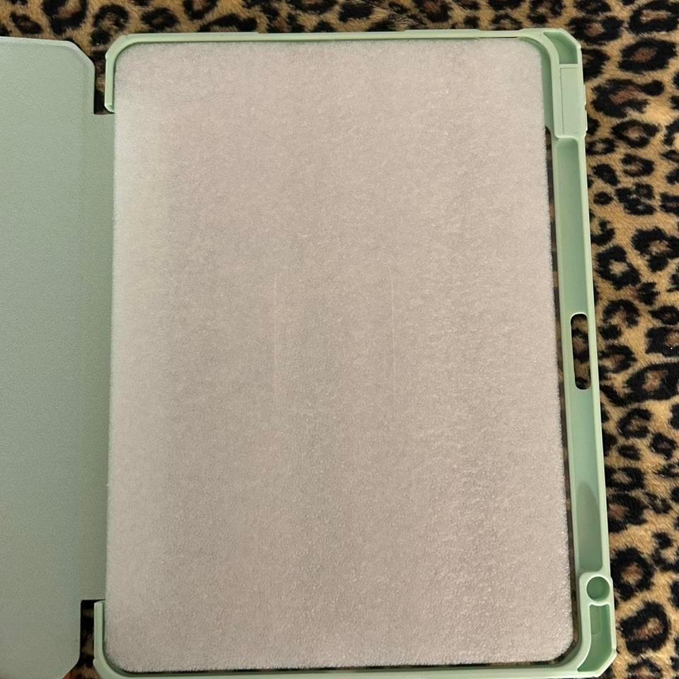 Sage Green Ipad Case For 4