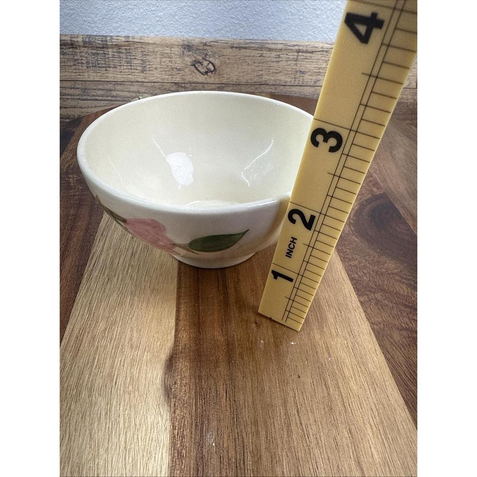 Franciscan Desert Rose Tea Cup 5