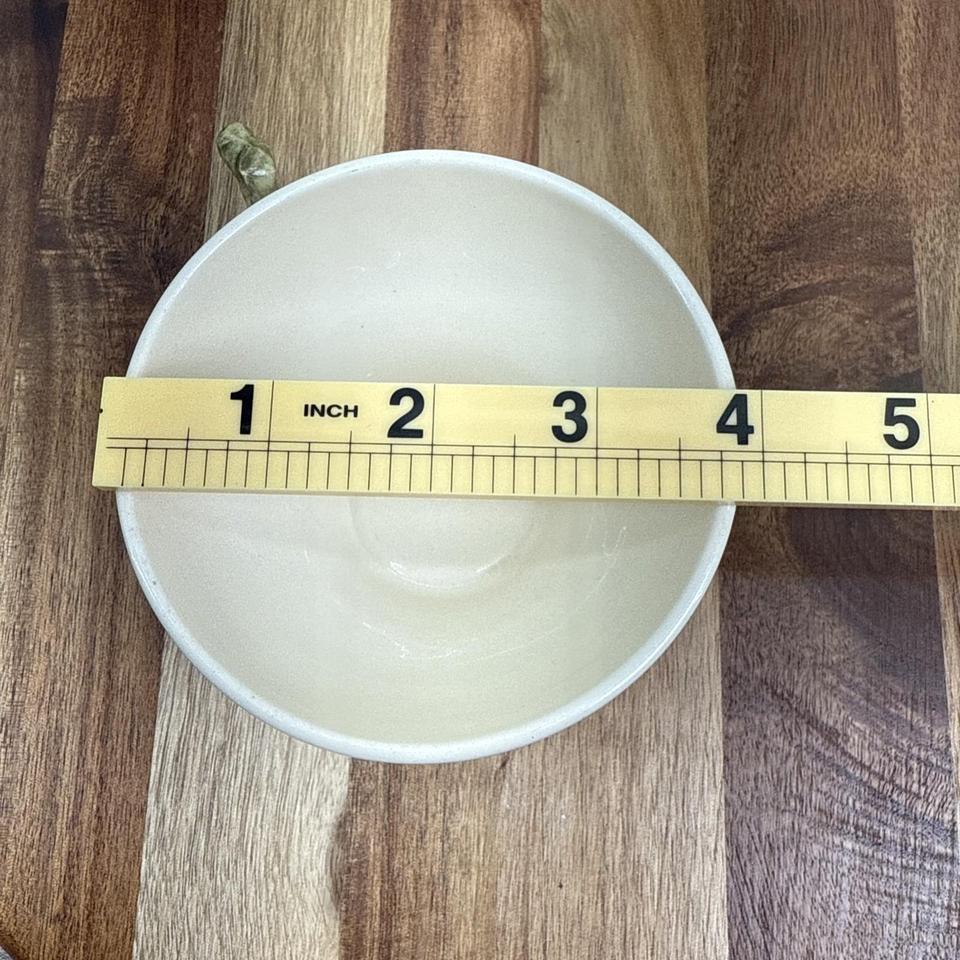 Franciscan Desert Rose Tea Cup 4