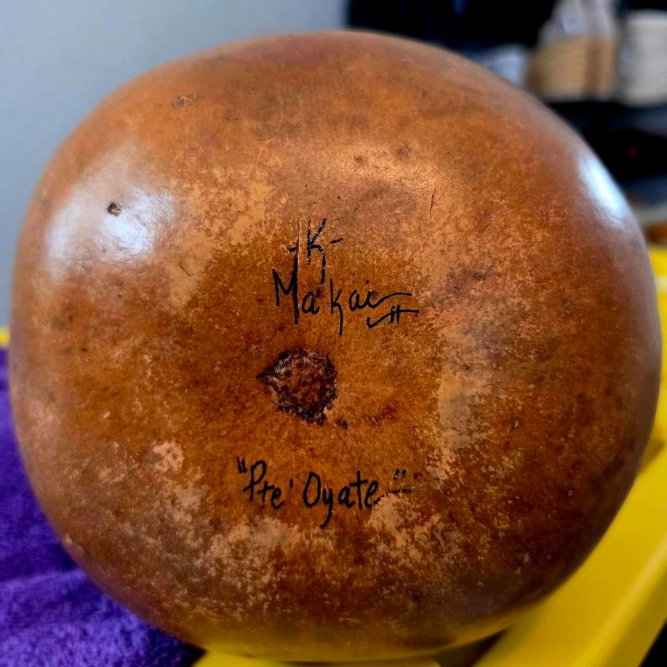 Hand Painted Gourd With Buffalo C001 2