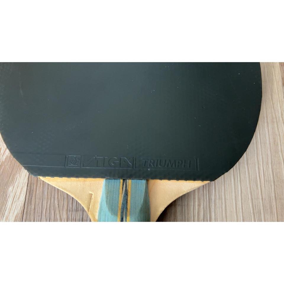 Stiga Triumph Table Tennis Ping C8c5 8