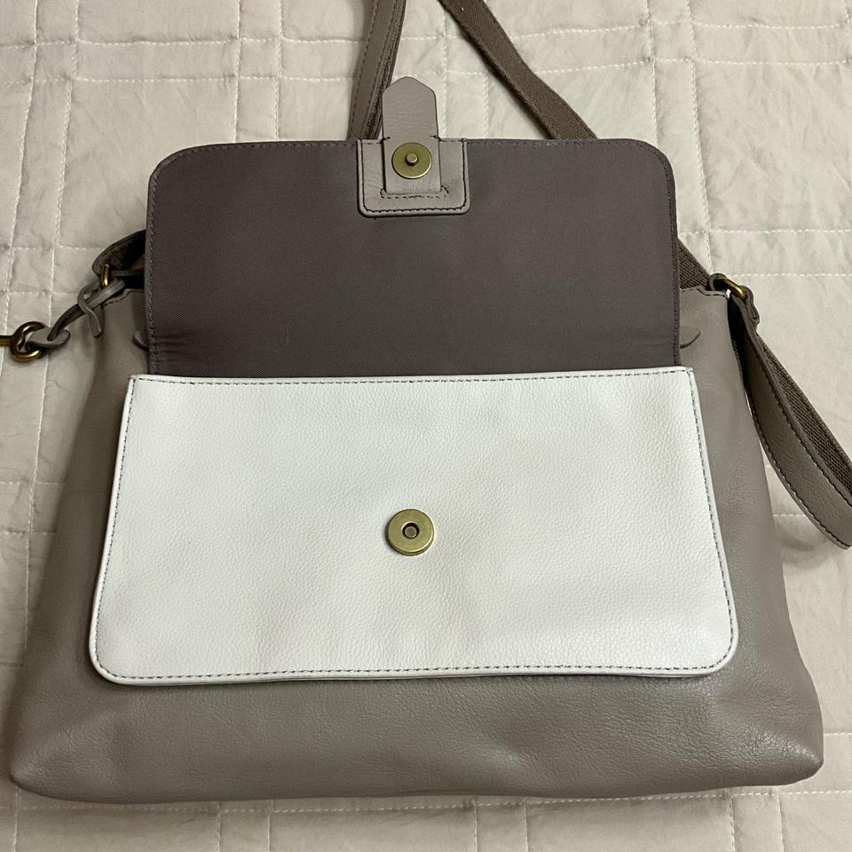Fossil Taupe With Cream And 8