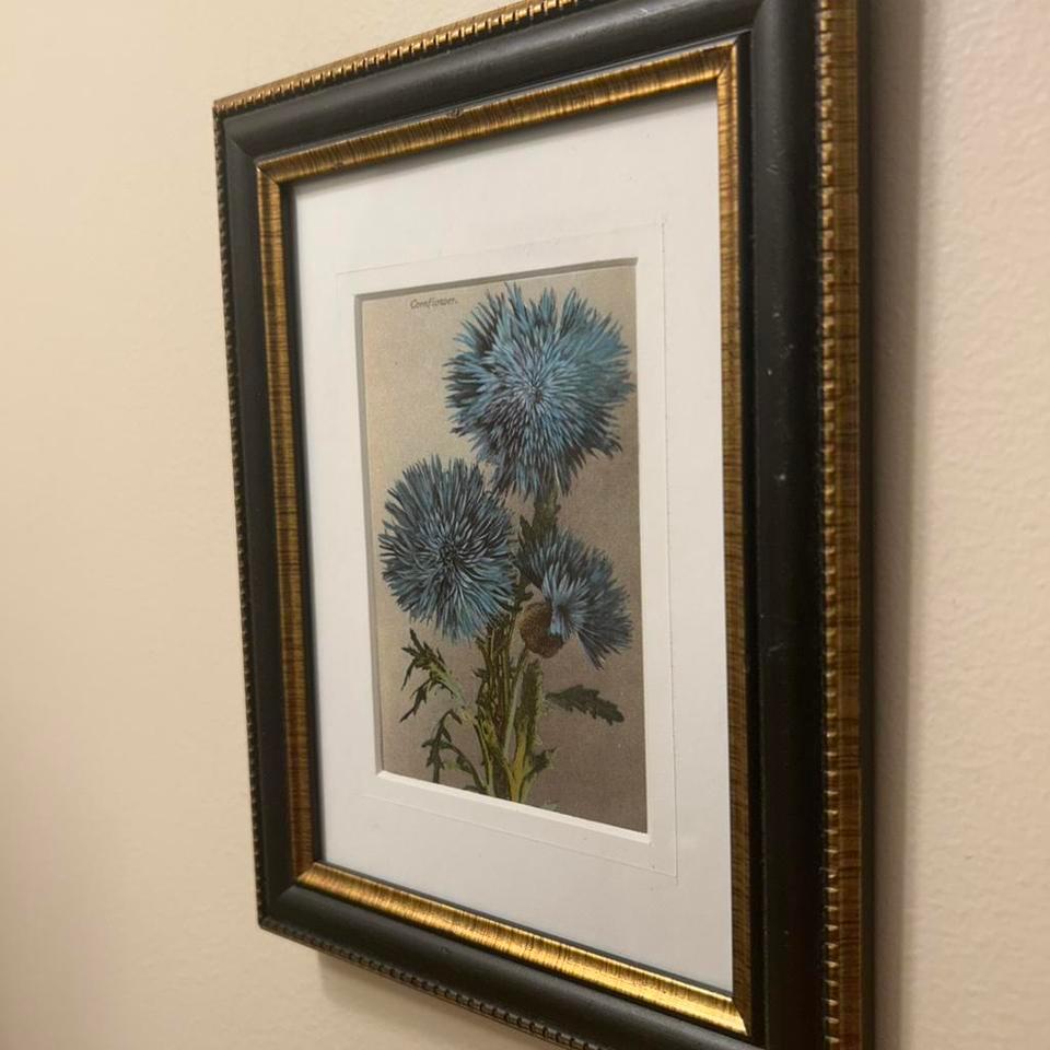 Vintage Style Blue Cornflower Framed Db2a 4