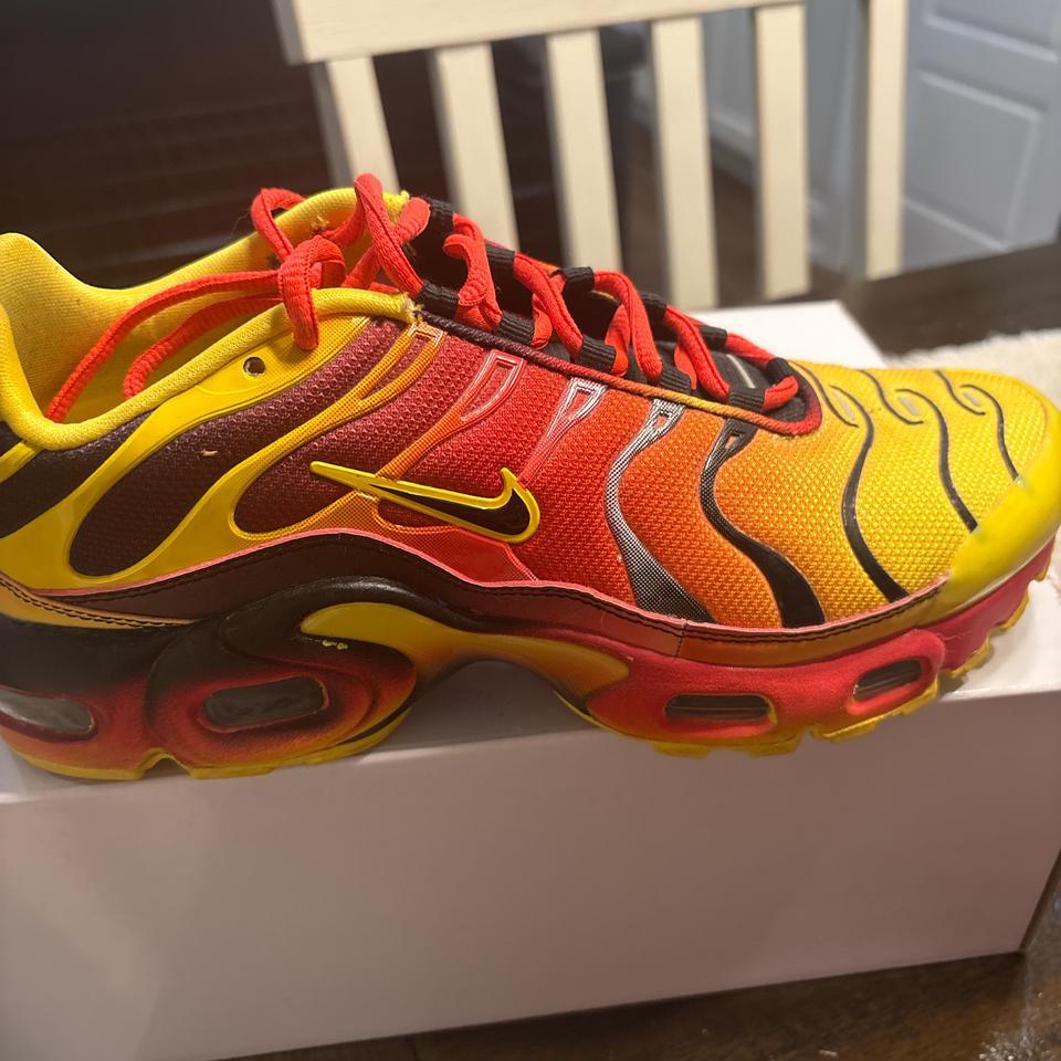 Nike Air Max Plus Tn Eb13 2
