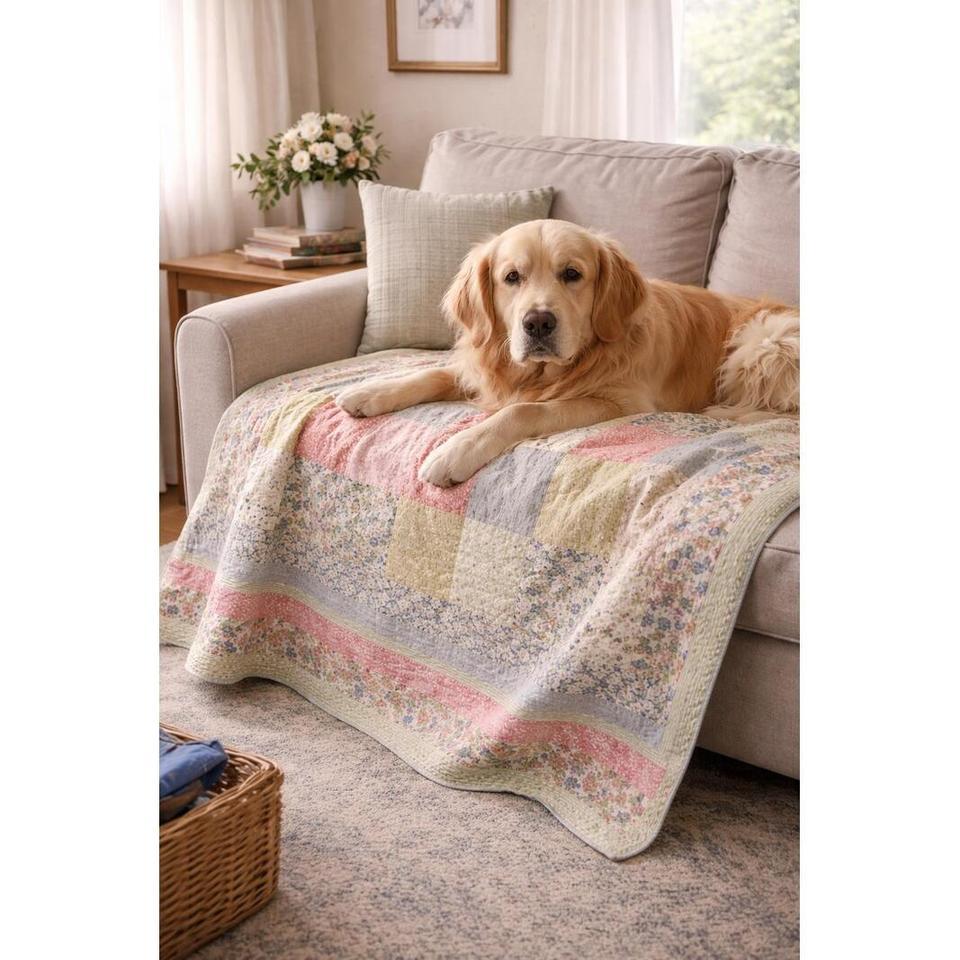A Symphony Of Comfort And 29b6