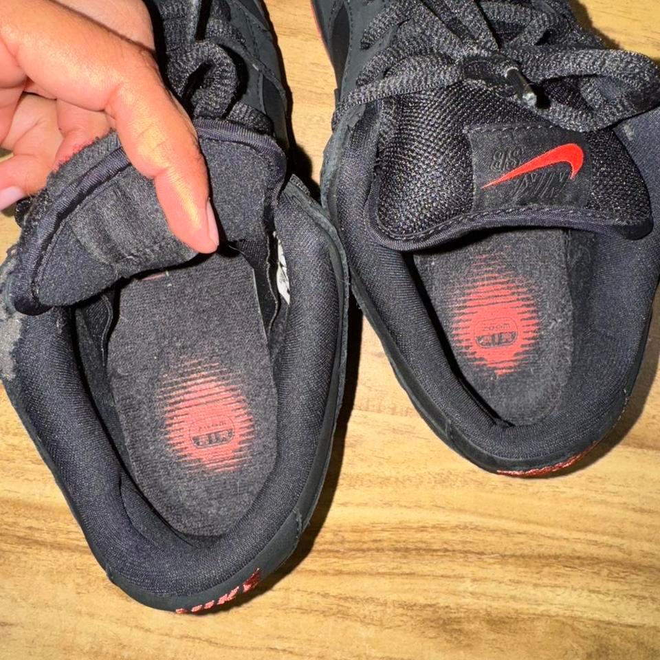 Authentic Nike Sb Pigeon Dunks 2a4a 3