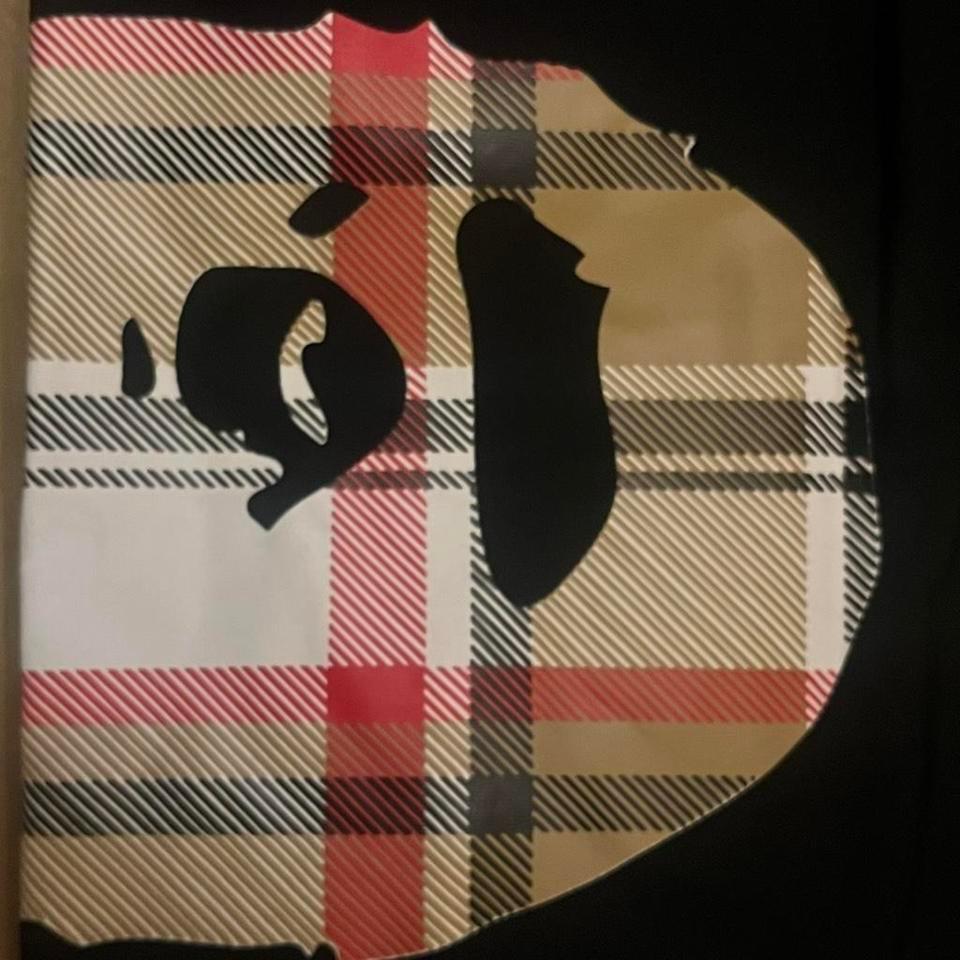 Bape Plaid Style Tee Size 51dd 5