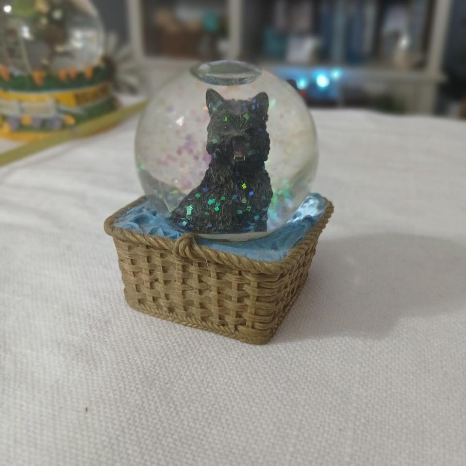 Vtg Wizard Of Oz Toto Cb2b
