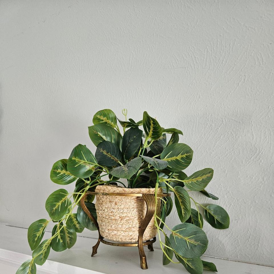 Vintage Brass Decorative Plant Holderstand Fc11 7