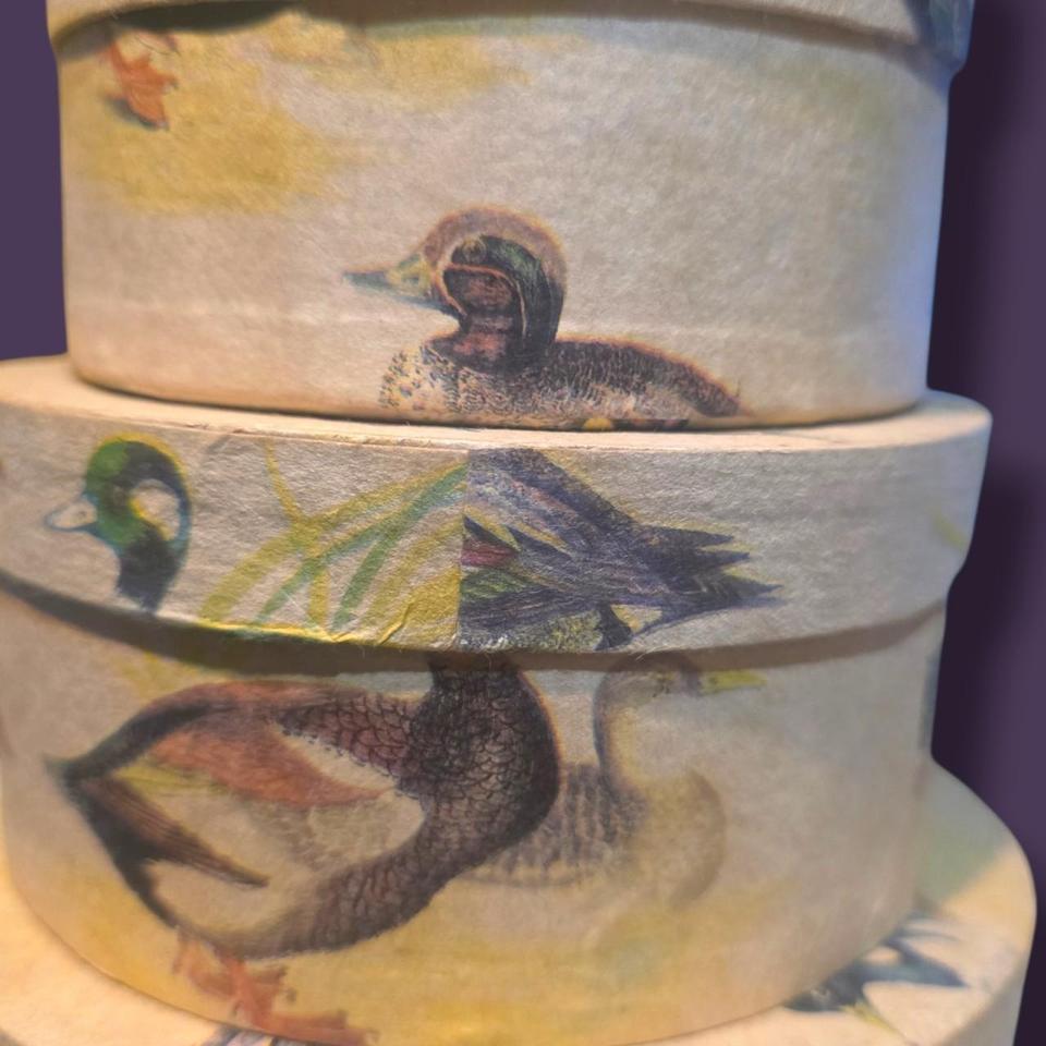 Set Of 6 Duck Af3b 2