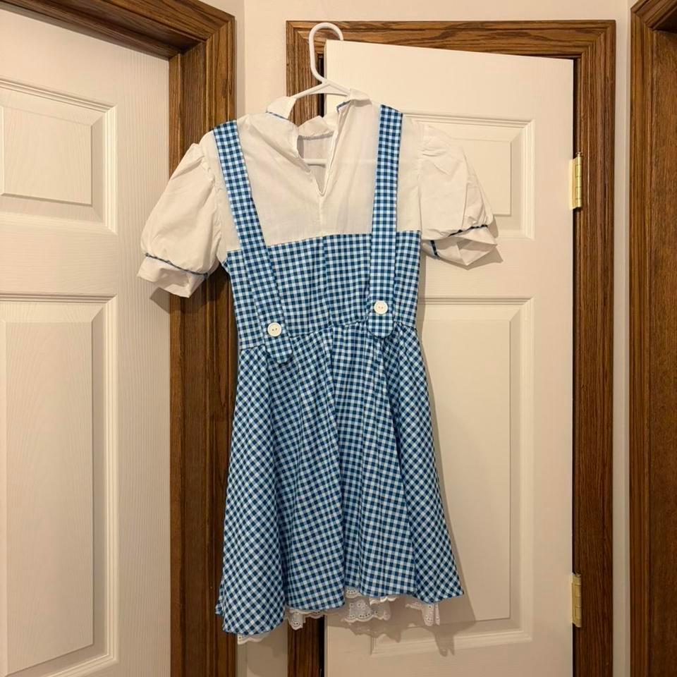 Dorothy Halloween Dress Worn Slightly 53de 2