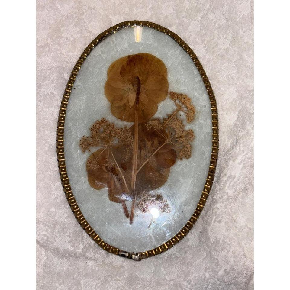 Vintage Oval Gold Rimmed Pressed 1cef 2