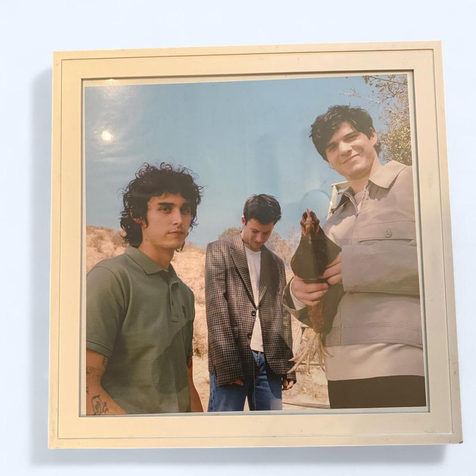 Wallows Poster Frame Not Included C500
