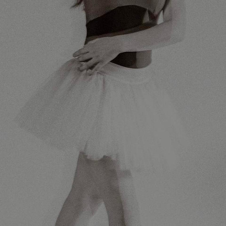Brand New Capezio Practice Tutu 3