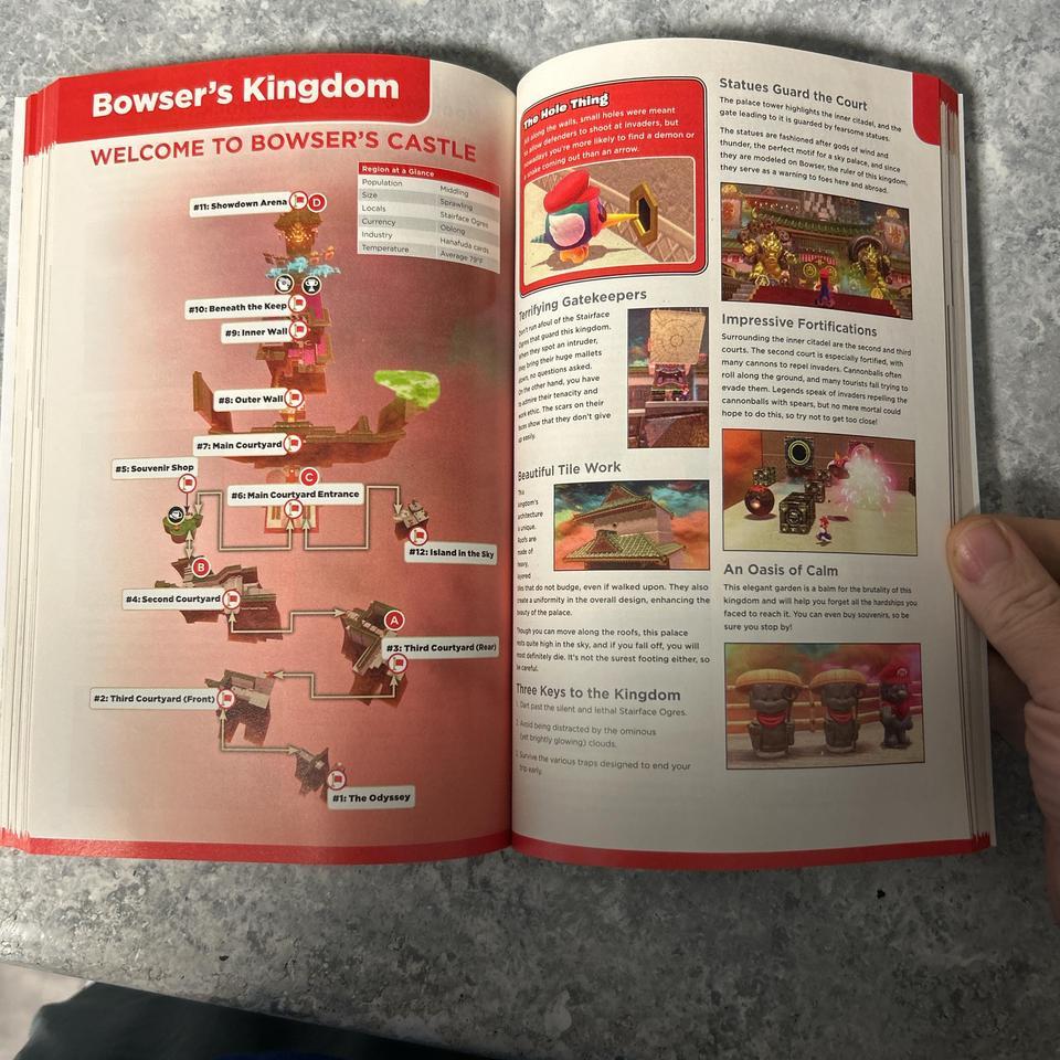Super Mario Odyssey Strategy Book 5