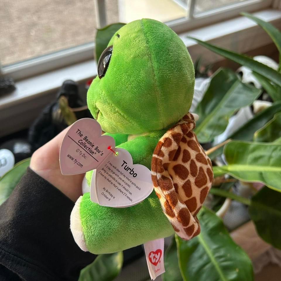 Turbo Turtle Ty Toy Beanie 3