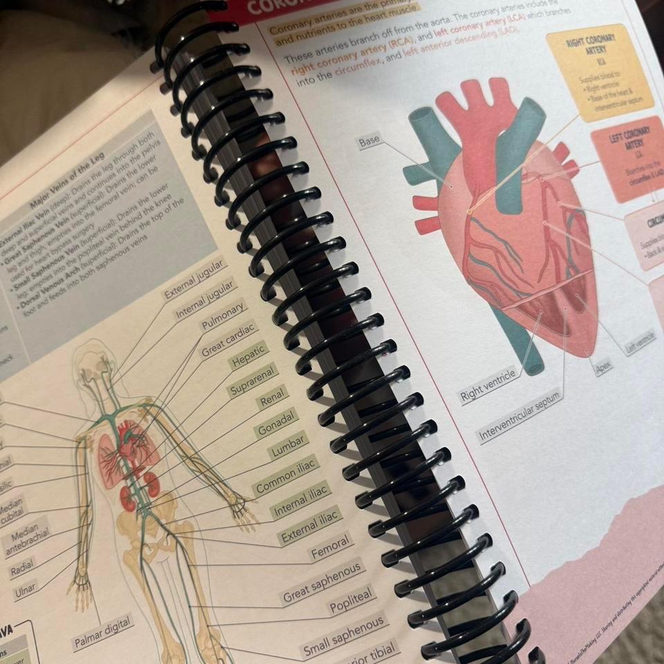 Anatomy And Physiology Navigator Study 1954 2