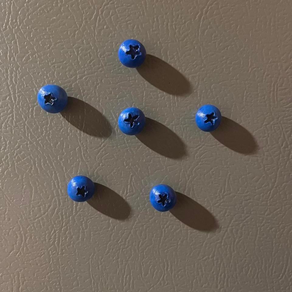 Handmade Blueberry Magnets Blueberry Bd48 2