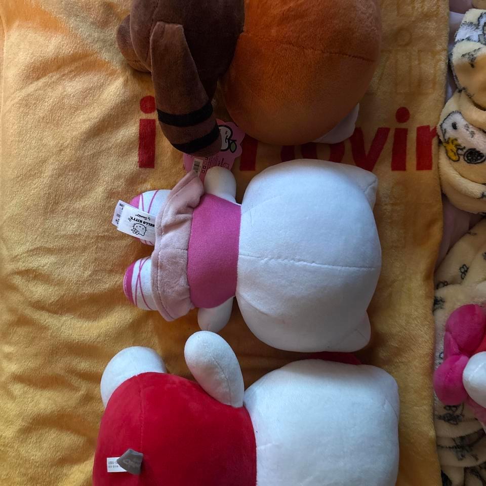Hello Kitty Plush Bundle Kawaii C798 2