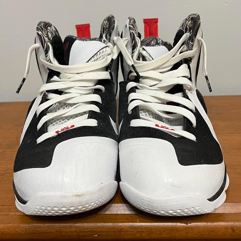 Size 11 Nike Lebron B629 2