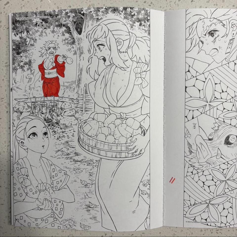 Demon Slayer Used Coloring Book 4