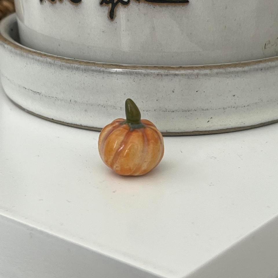 Miniature Pumpkin Jack O Lantern Orange Ebca 3