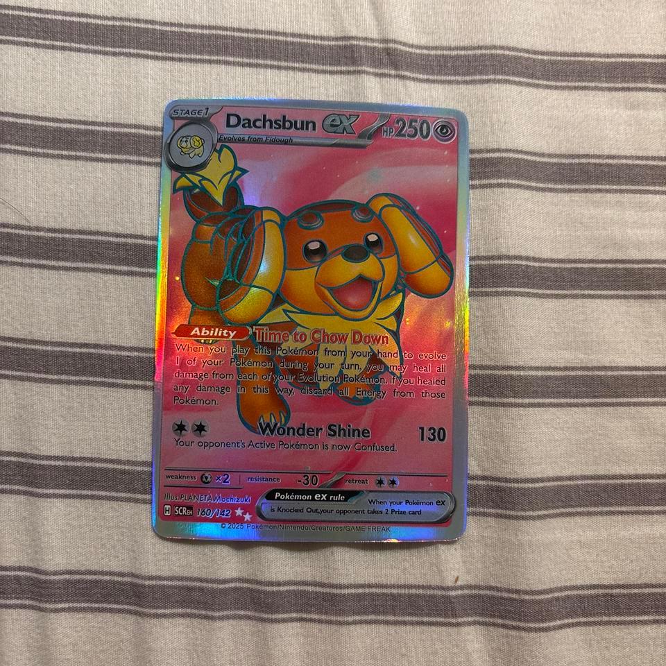 Dachsbun Ex 250261 Holo Rare 4d2b