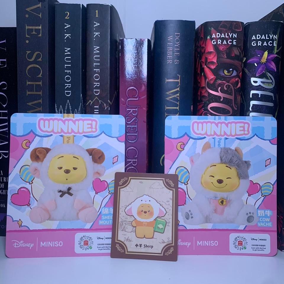 Disney Winnie The Pooh Plushies F833 2