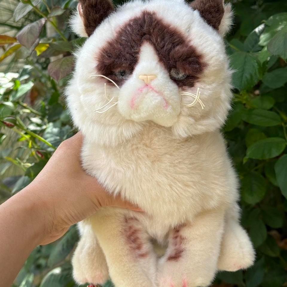 Grumpy Cat Stuffed Animal Grumpycat 78ee 4