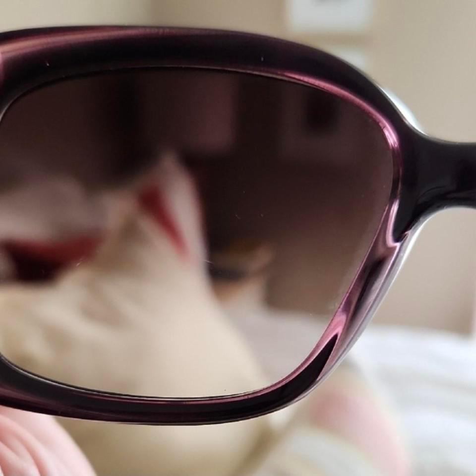 Authentic Gucci Square Oversized Sunglasses 378f 7