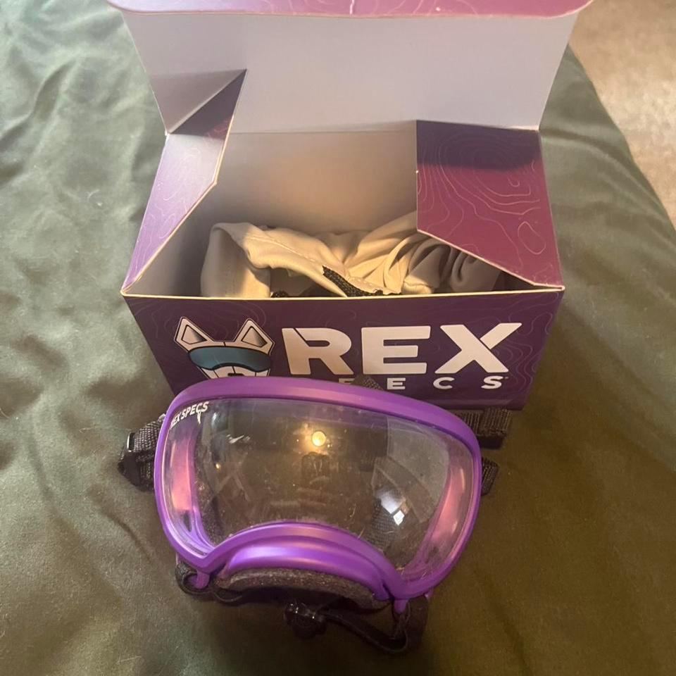 Rexspecs Size Xs Purple V1 1187